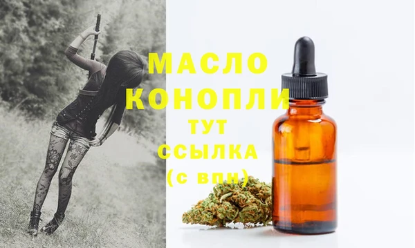 дживик Богородицк
