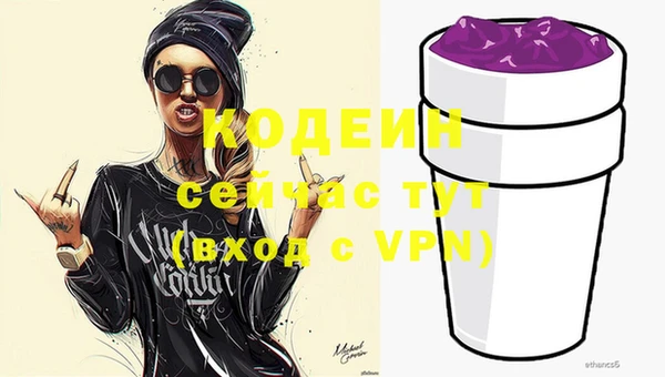 дживик Богородицк