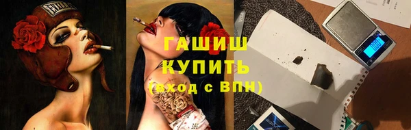 дживик Богородицк