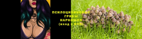 сатива Богданович
